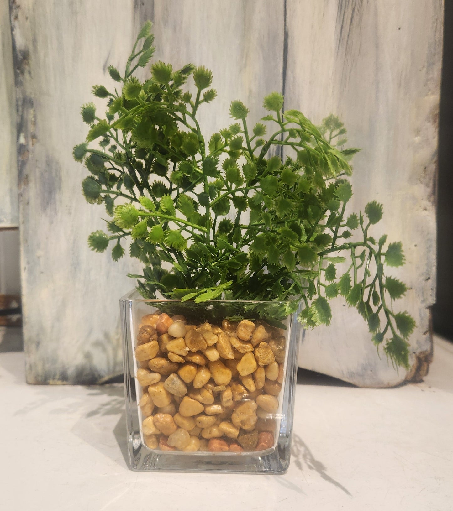 Greenery Potted Glass Vase