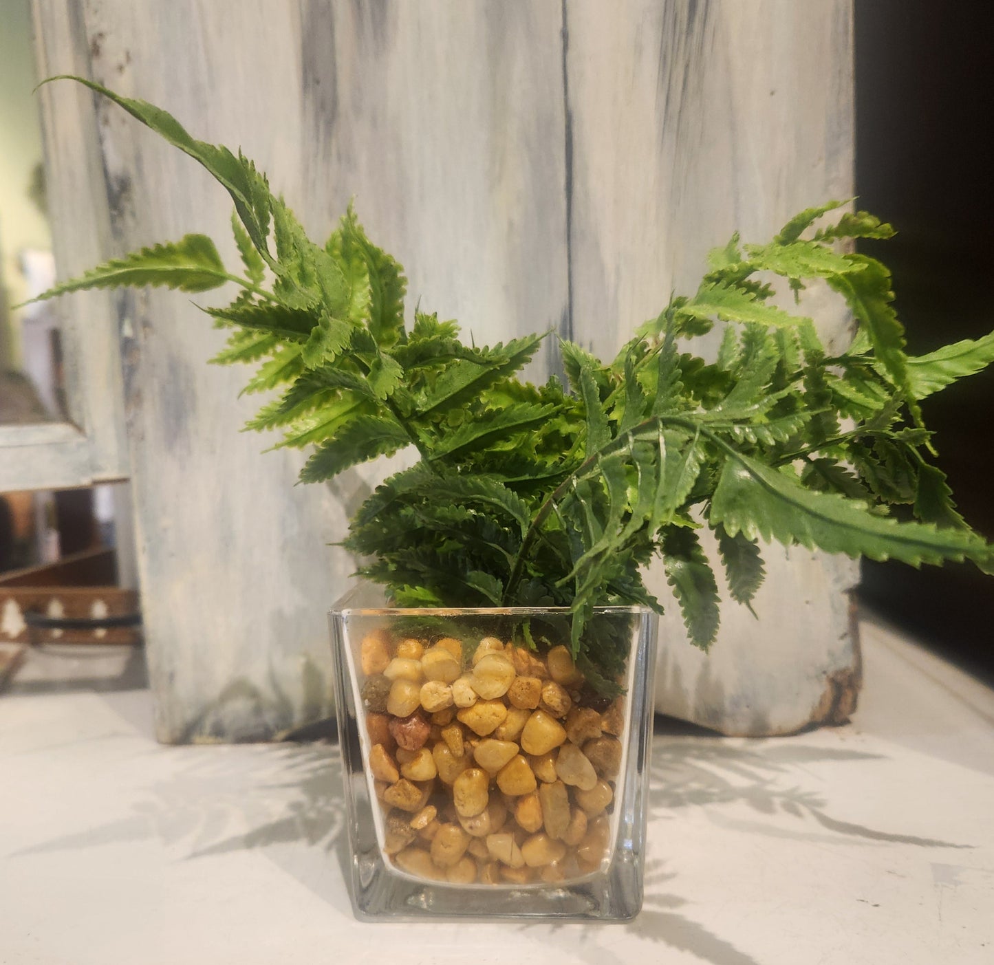Greenery Potted Glass Vase