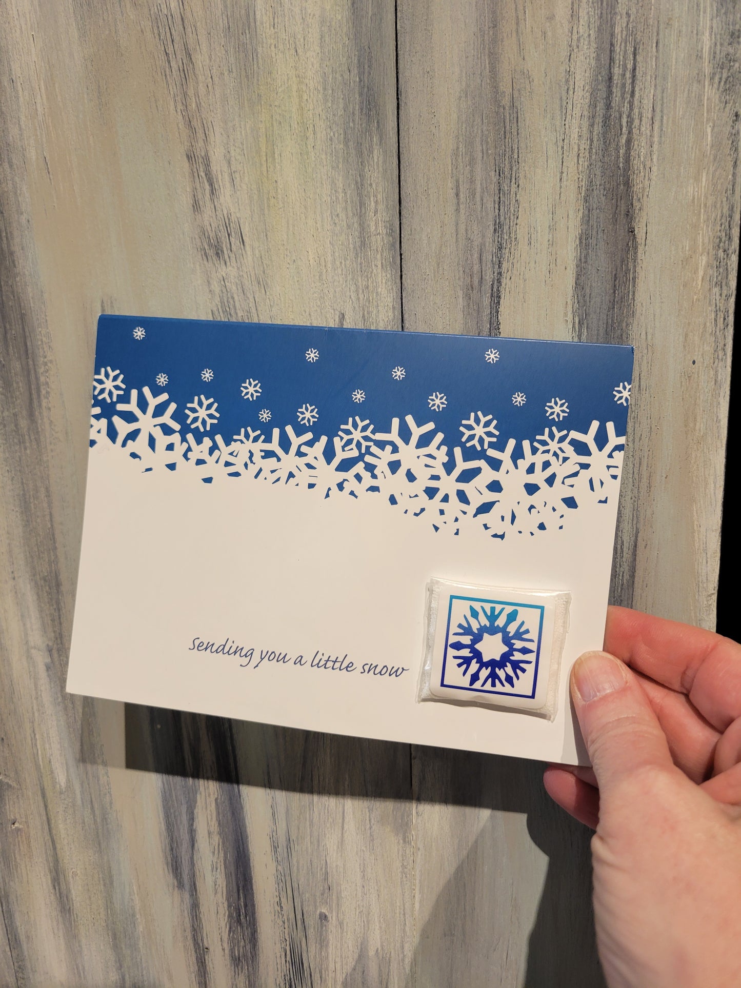 Sending You A Little Snow Card