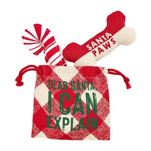 Dear Santa I Can Explain Dog Toy