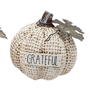 Mini Grateful Resin Pumpkin