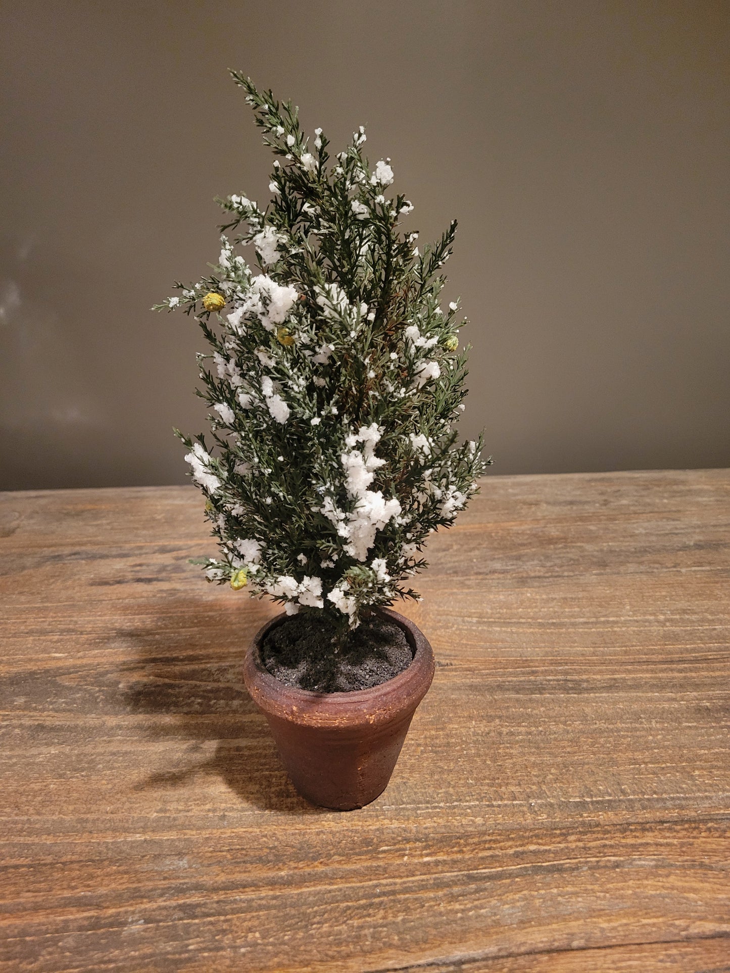 Potted Frosted Tree