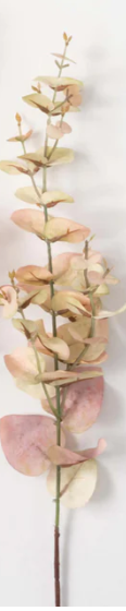 Fall Cream Eucalyptus Stem