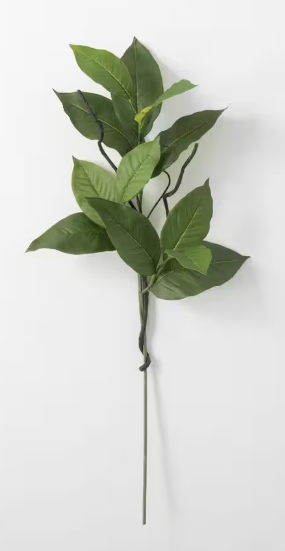 Green Salal Leaf Spray