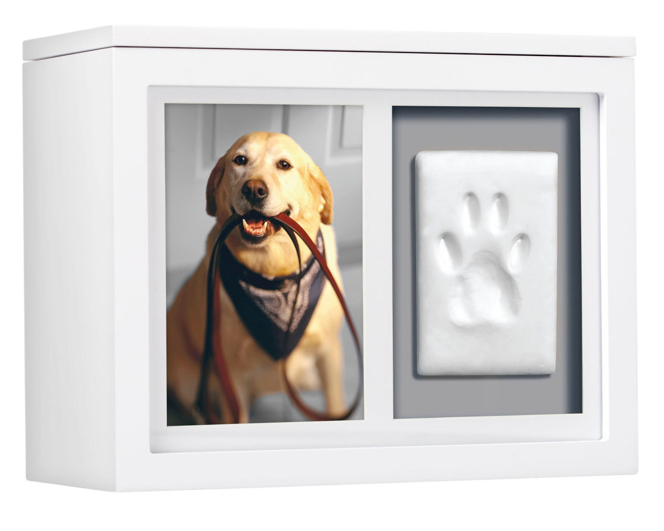 Pet Memory Box Impression Kit