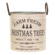 Small Fresh Trees Galvanized Bucket