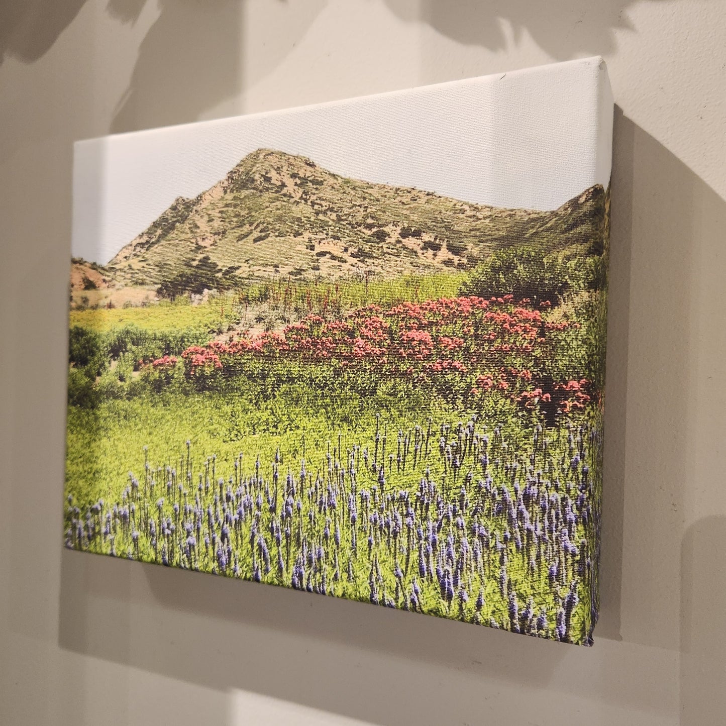 8x10 Red Butte Garden Canvas