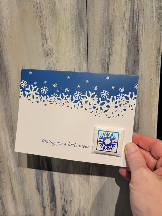 Sending You A Little Snow Card