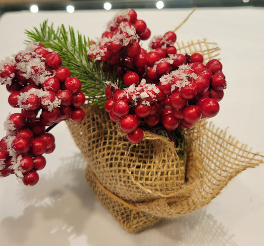 Frosted Potted Snow Berries