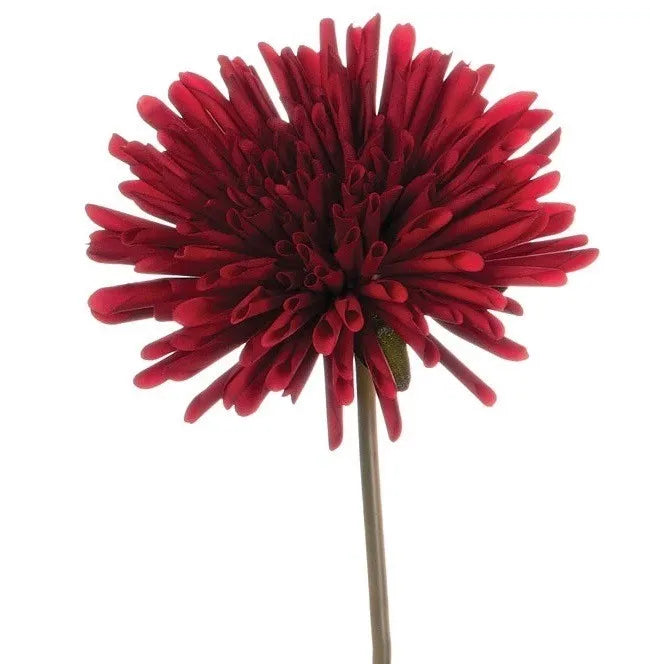 Burgundy Dahlia Stem