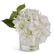 White Hydrangea Glass Vase