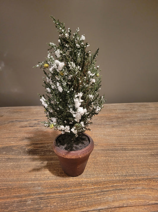 Potted Frosted Tree