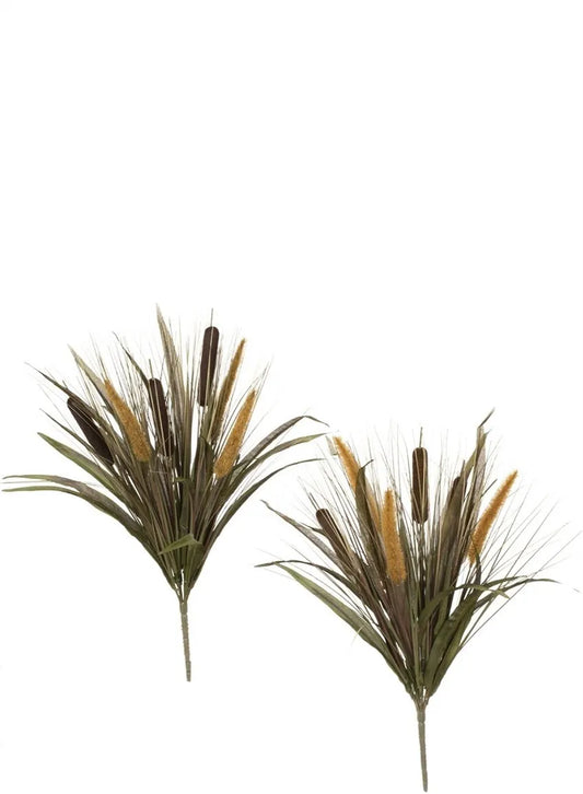 Cattail Grass Bush