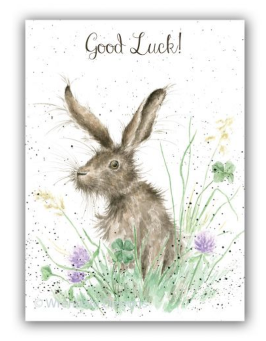Good Luck Bunny Card