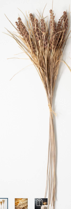 Brown Dried Wheat Bush