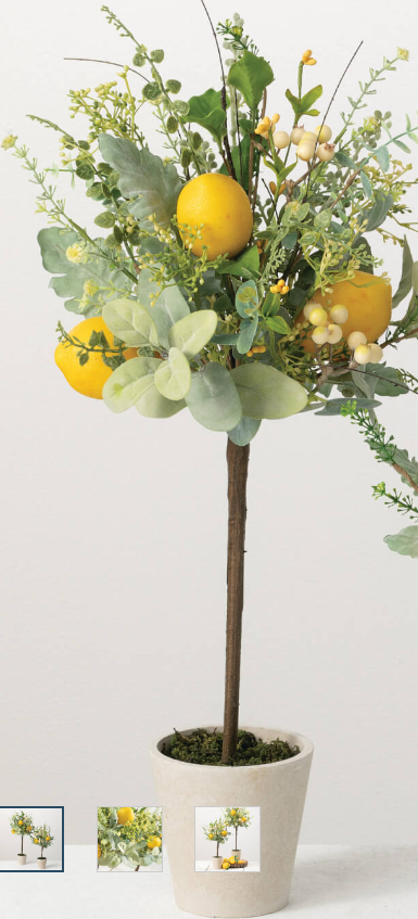 Tall Herb Lemon Topiary