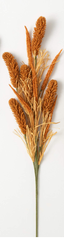 Orange Wheat Husk Spray