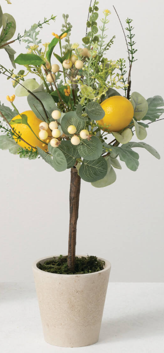 Small Herb Lemon Topiary