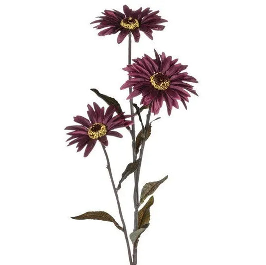 Burgundy Daisy Stem