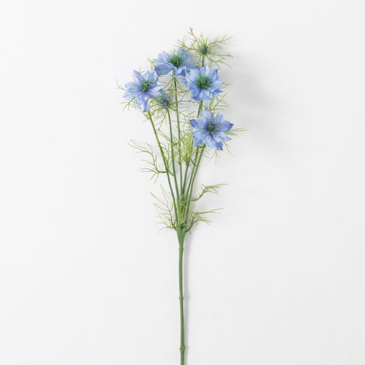 Love In A Mist Stem