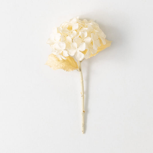 Cream Hydrangea Stem