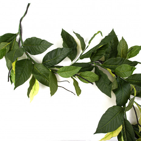 Salal Lemon Leaf Garland