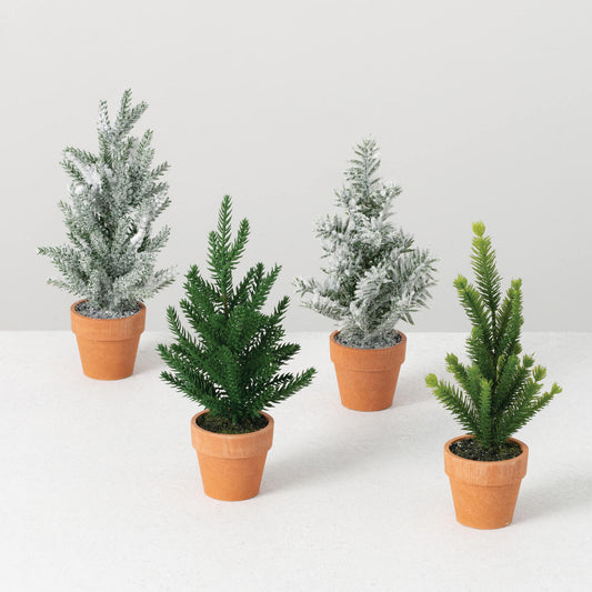 Mini Tabletop Potted Tree