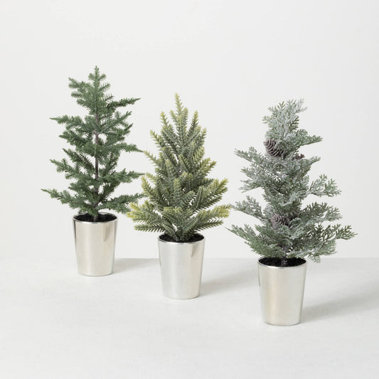 Tabletop Potted Pine Tree