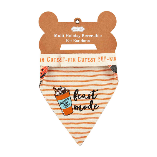 Feast Mode Reversible Pet Bandana